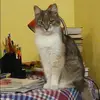 Отзыв от Варвара Копылова